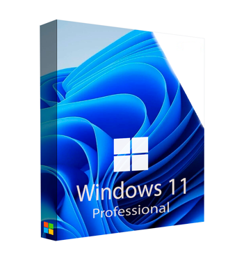 Clave OEM de Windows 11 Professional